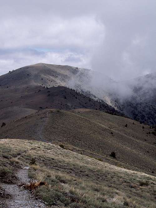 Telescope Peak trail