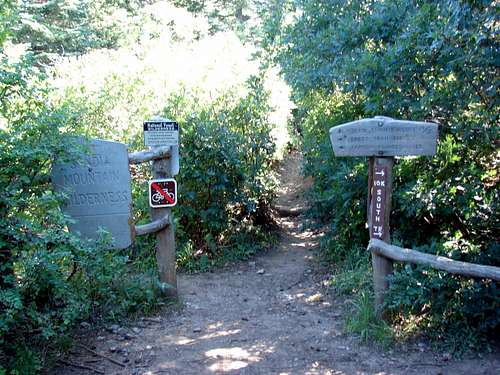 Trail Intersection