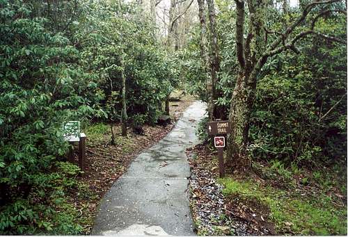 Brasstown Bald -- Summit Trail (2003)