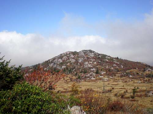 Wilburn Ridge high point