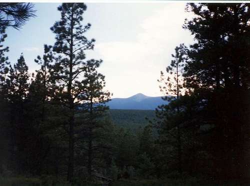 Baldy Mountain viewed from...