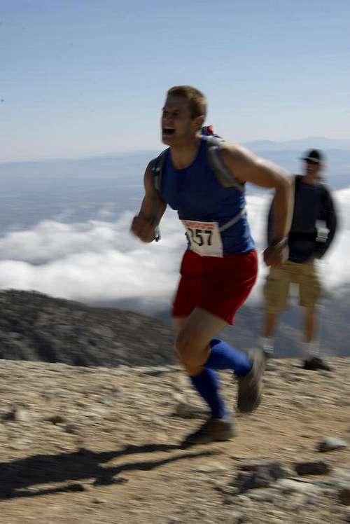 Run to the Top 2008