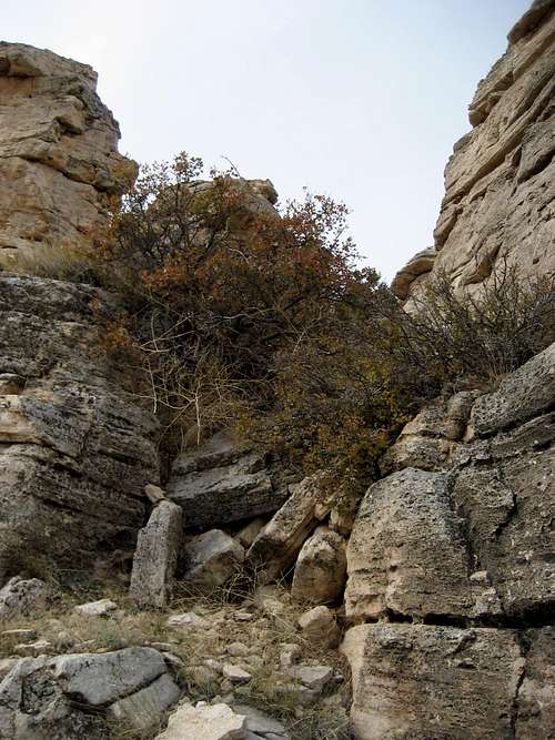 Opening through the Rocks