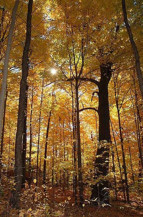 Haliburton Highlands, Canada