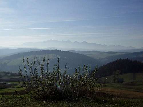 View of Tatra Mountains from Pieniny