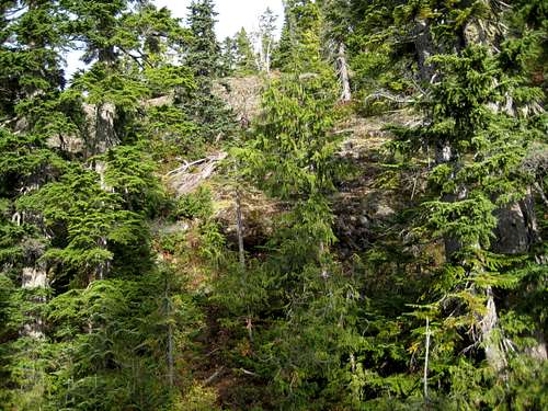 Bluffs on Mt Drabble