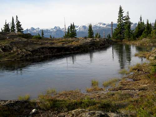 Mt Drabble Summit Plateau