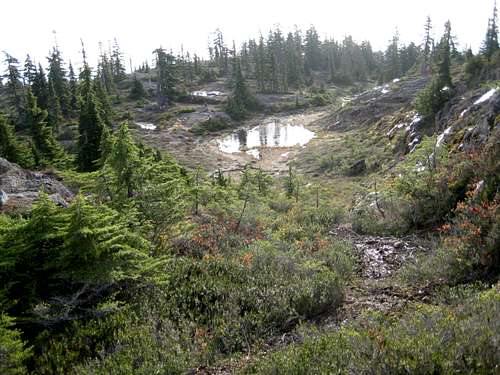 Mt Drabble Summit Plateau