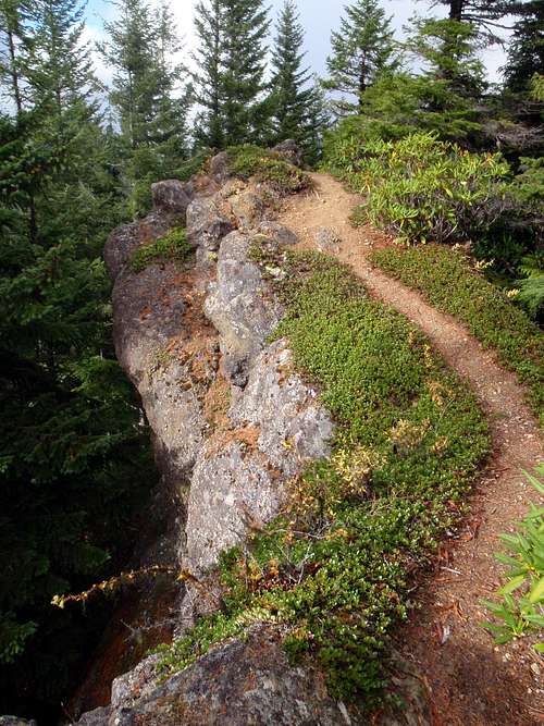 Zion Ridge Trail