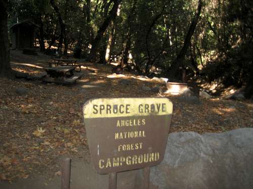 Spruce Grove Camp