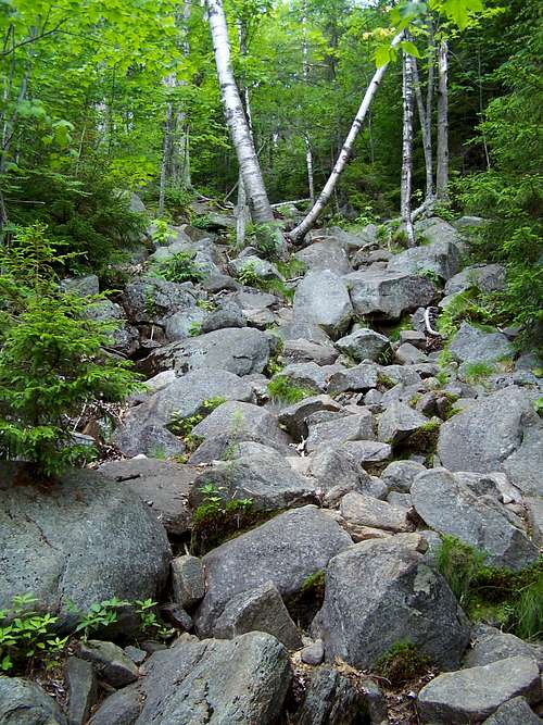 Crane Mountain Trail