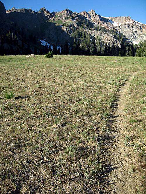 Trail in Bear Basin Meadows