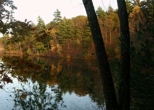 Serene Walden Pond