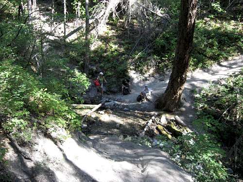 Columbia Mountain Trail