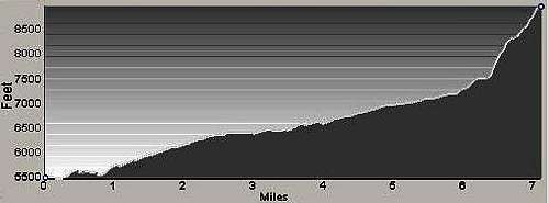 Profile of Castle Crag Route