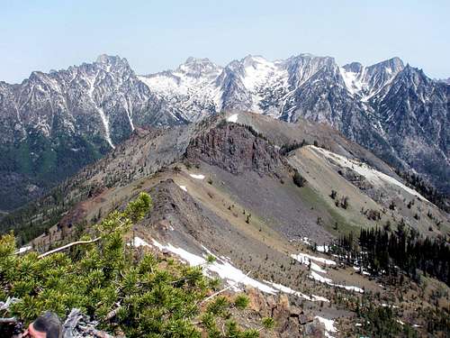 Looking North from Bean Summit