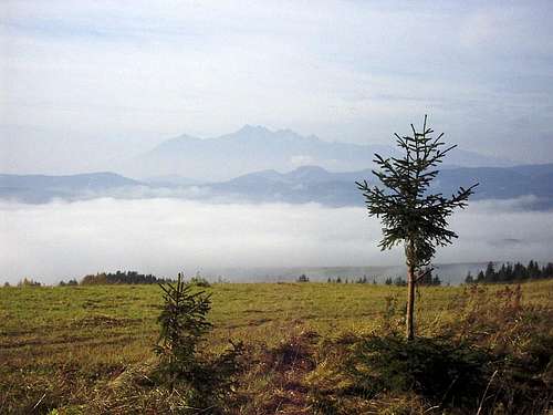 Tatras over the fog