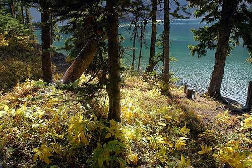 Autumn Colours on the Shores of Window Mountain Lake