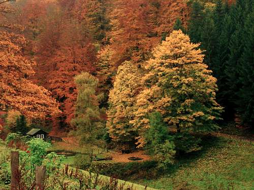 Little valley near Albrechtsberg (751m) in autumn colours