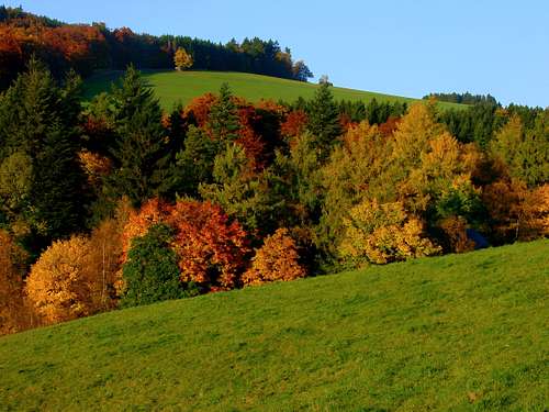 Autumn scene at the Rothaarsteig near Großer Kopf (753m)