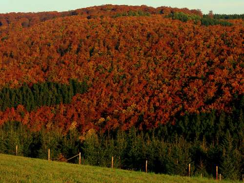 Autumn scene at the Rothaarsteig near Großer Kopf (743m)