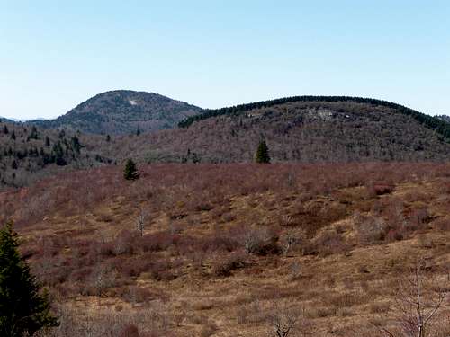 Mt. Hardy & Little Sam Knob from Flat Laurel Creek trail 11/1/2008