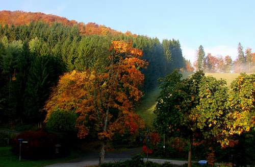 A little valley near Albrechtsberg (751m) in autumn colours