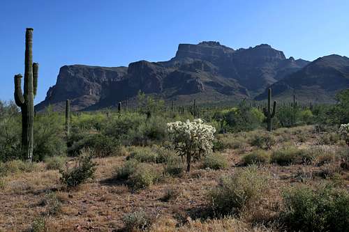 Phoenix Mountains and Neighboring Ranges