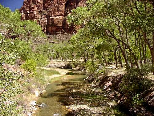 Virgin River at The Grotto,...