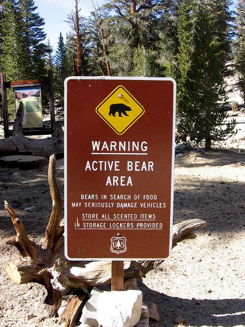 Beware of Da Bears