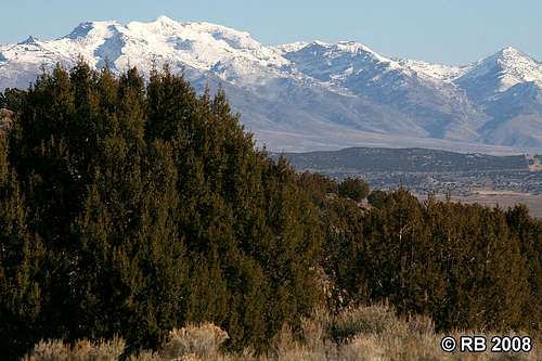 Juniper woodlands and Ruby Mountains