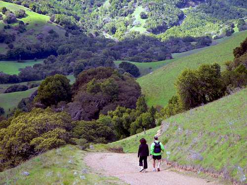 Hills of Marin County, California