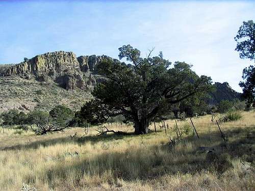 Bryce Mountain (AZ)