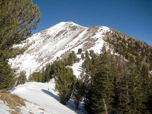 Galena Peak-SW Ridge