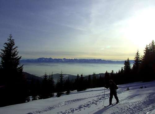 Backcountry ski in Gorce.