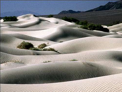 Sand dunes near Stovepipe...