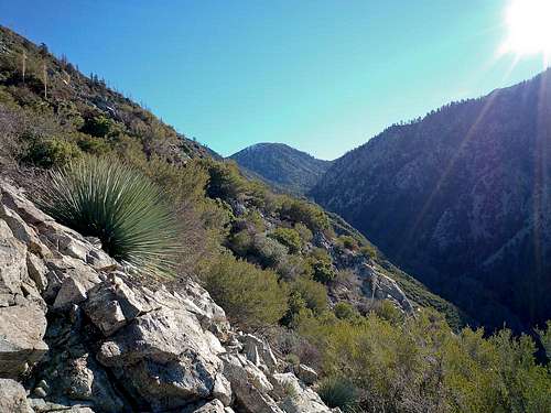 On the Thunder Ridge