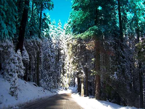 Road to Yosemite