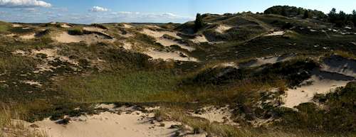 Ludington Dunes