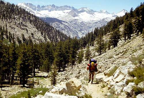 Wallace Creek Trail