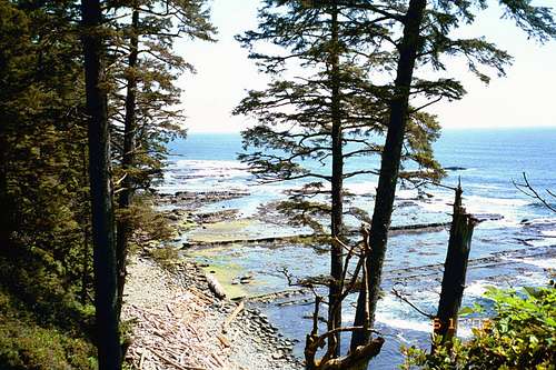 Looking down on the shoreline