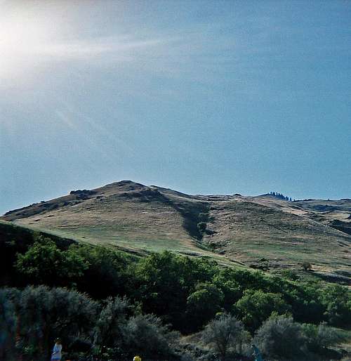 Lower Salmon River Canyons (ID)