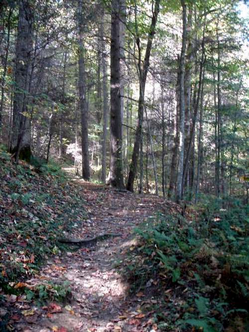 Cove Mountain Trail