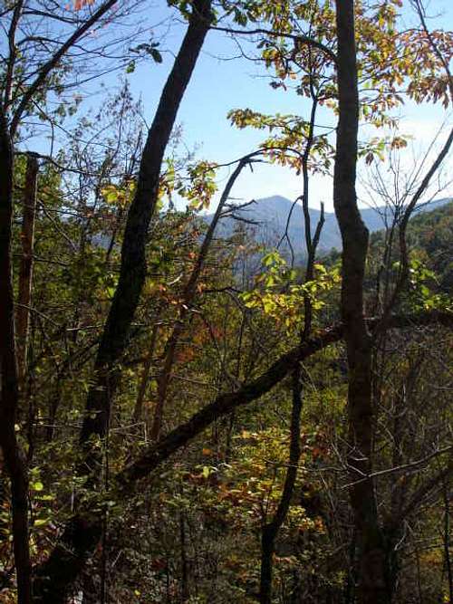 Summit View From Cove Mountain