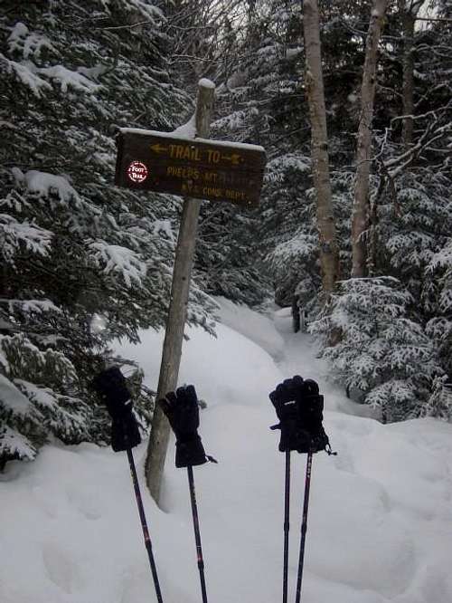 Getting ready to climb...