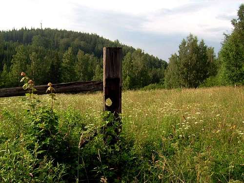 Meadow in Karkonosze Mts.