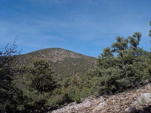 Wildrose Peak