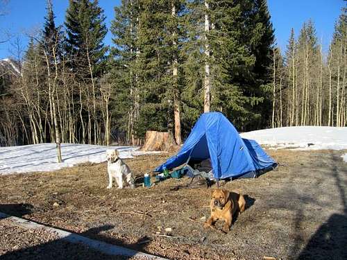 Camping at Michigan Creek...