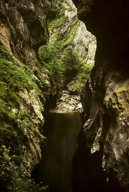 Corcoaia Gorge, taken in 1979