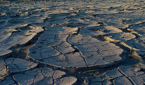 Dried Mud